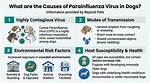 Canine Parainfluenza in Dogs: Vet-Approved Causes, Signs & Treatments
