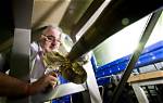 Cavitation | Northern Innovation | Newcastle University