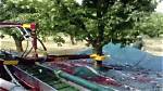 Cherry Harvesting with a Hydraulic Tree Shaker