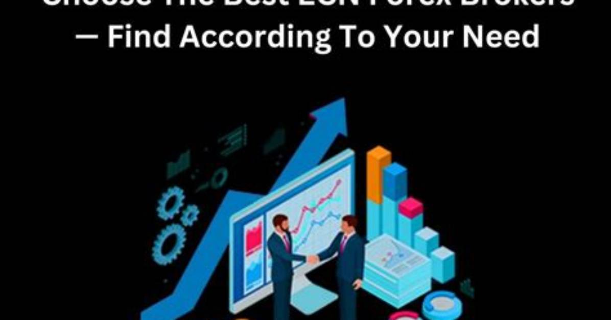 Choose the Best Ecn Forex Brokers – Find According to Your Need