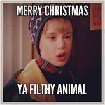 Christmas Memes to Keep You Merry and Bright