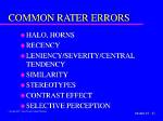 Common Rater Errors