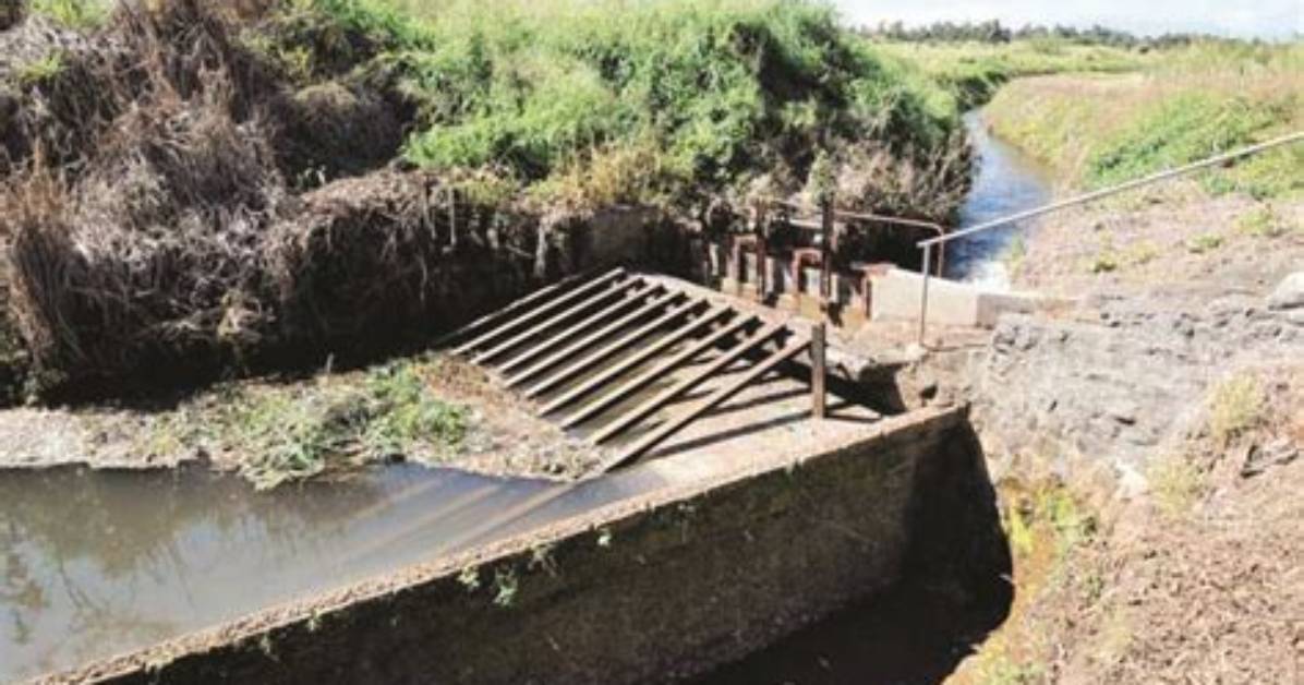 Council Close to Appointing East Maui Water Board | News, Sports, Jobs