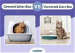 Covered vs Uncovered Litter Boxes: Does My Cat Care?