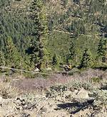 Crews Rescue Downed Paraglider Near Mt. Rose Summit | Medicine