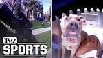 Dak Prescott Dog Attack Video, Cops Drew Assault Rifle on Pets Dak Prescott Dog Attack Video. .. Cops Drew Assault Rifle Exclusive 4/5/2019 12:30 Am Pt