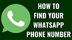 Dangmattsmith Phone Number, Whatsapp Number Contact No Mobile