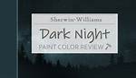 Dark Was the Night Review