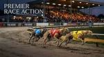 Date, Place, History, Past Winners, Prize Money