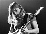 David Gilmour