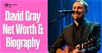 David Gray Net Worth, Income and Estimated Earnings of Youtuber Channel