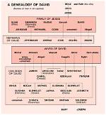 David Sun – Family, Family Tree