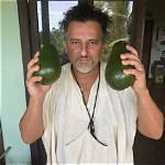 David Wolfe