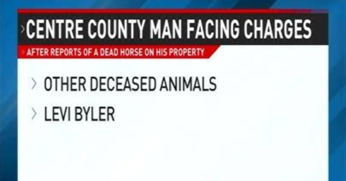 Dead Horse That Suffered Miscarriage Leads to Charges for Centre County Man: Psp