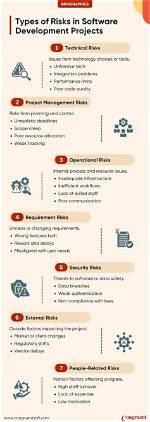 Dealing with Risks in Software Development Through Usability Testing
