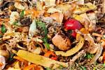 Decompose as Food