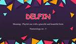 Delfin Meaning in English, Delfin Baby Name Origin Gender Meaning Pronunciation