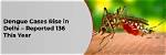 Delhi: 105 ‘Dengue’ Cases Rise in a ‘Week’