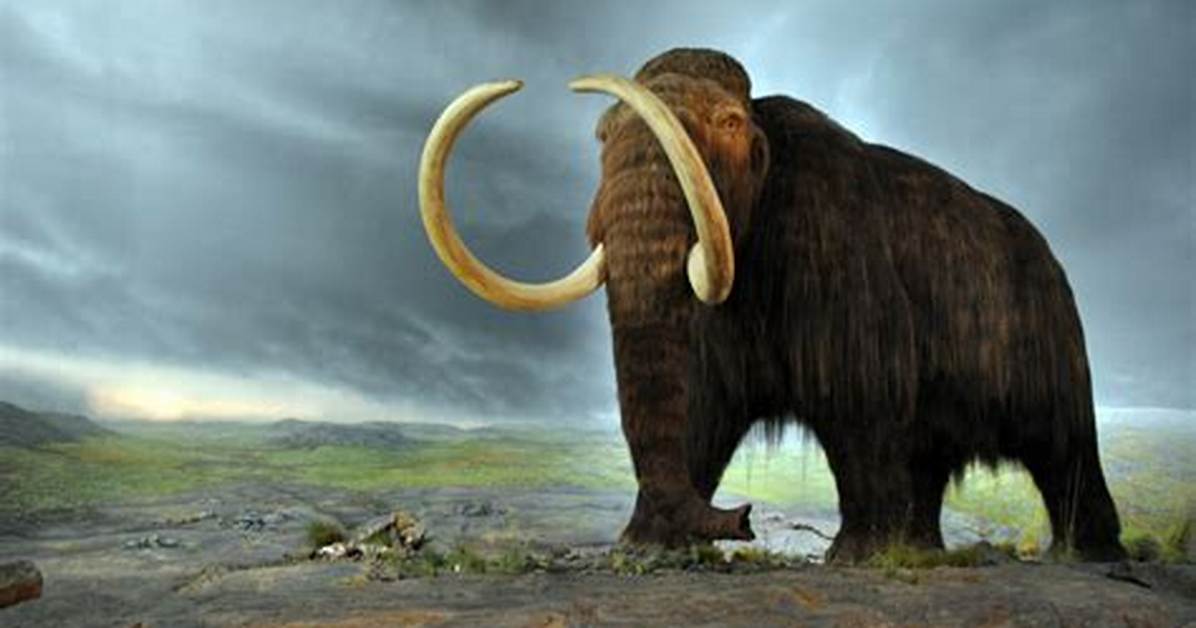 Did Woolly Mammoths Overlap with First Humans in New England?