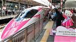 Differences Between Japan`s Shinkansen and Indonesia`s Whoosh