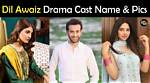 Dil Awaiz Drama Cast Real Name with Pictures - Geo Tv