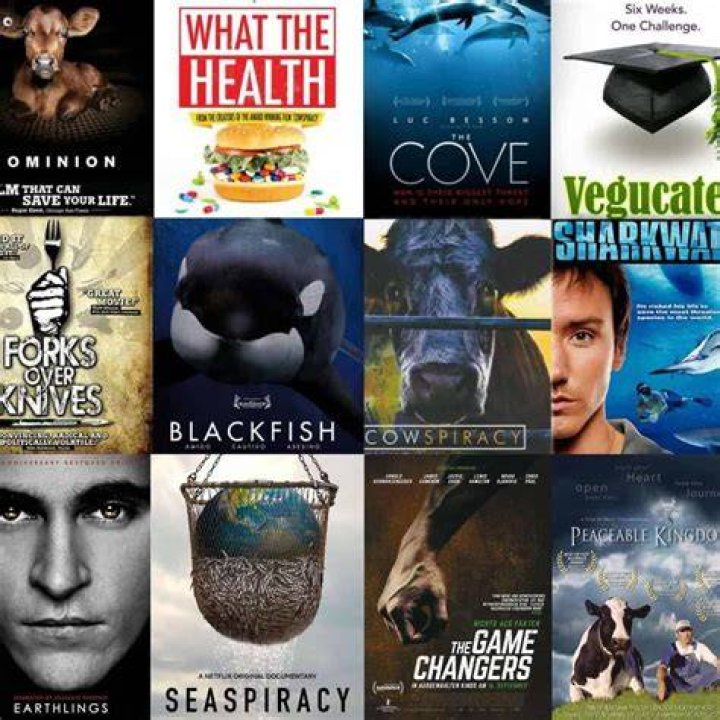 Discover Vegan Movies & Documentaries: Your Guide to Vegmovies