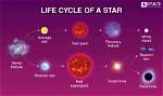 Discovering the Birth of a Star: When Was Mark Harmon Born?