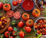 Do Tomatoes Raise Blood Glucose Levels?