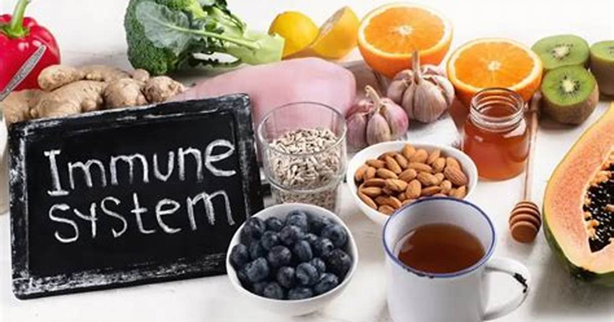 Does Your Weight Affect Your Immune System?