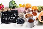 Does Your Weight Affect Your Immune System?