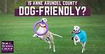 Dog-Friendly Parks in Anne Arundel County