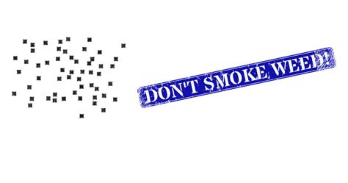 Don't Smoke Weed and Watch Keeping up with the Kardashians!