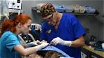 Dr. Petra Mickova Wiki-Bio, Age of Dr. Jeff Young Wife.
