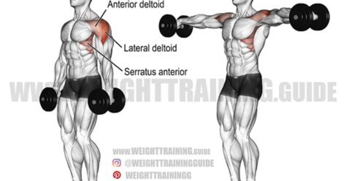 Dumbbell Lateral Raise Guide - Signos