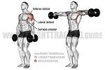 Dumbbell Lateral Raise Guide - Signos