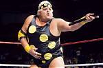 Dusty Rhodes Height, Name, Weight, Age, Wife, Children, Films, Profile