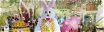🌾 Easter Egg Hunt at Willow Oak Flower and Herb Farm