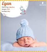 Egan Meaning in English, Egan Baby Name Origin Gender Meaning Pronunciation