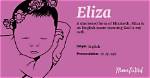 Eliza Meaning in English, Eliza Baby Name Origin Gender Meaning Pronunciation