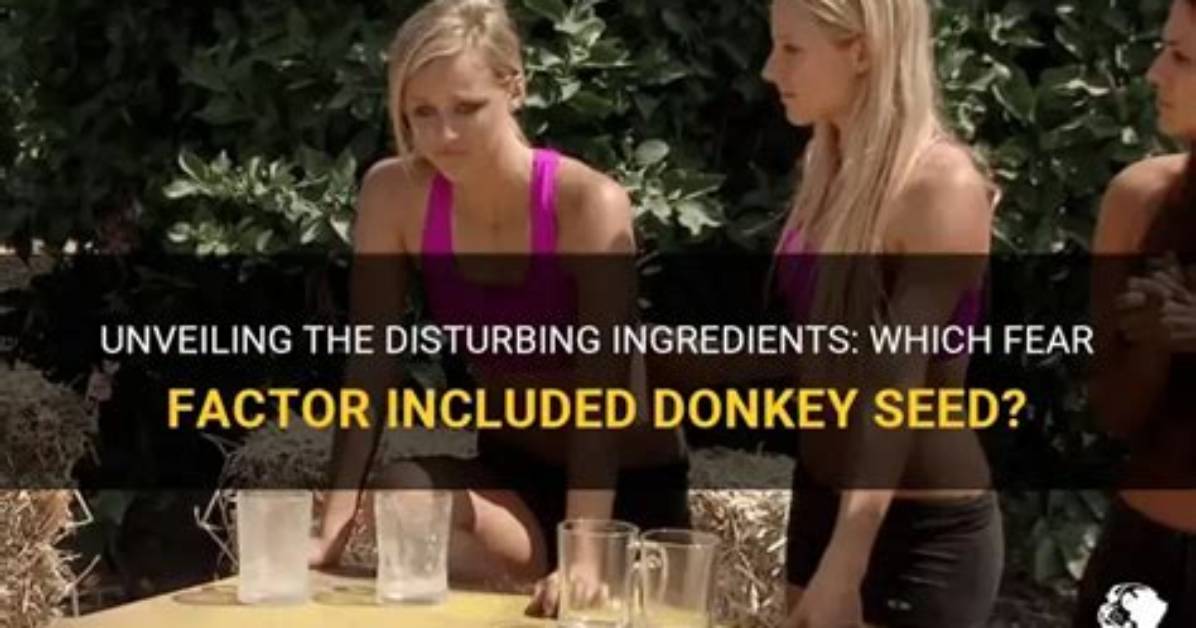 'Fear Factor' Donkey Chicks -- the Adult Offer You Knew Was Coming 'Fear Factor' Donkey Chicks the Adult Offer You Knew Was Coming Exclusive 2/5/2012 9:35 Am Pt