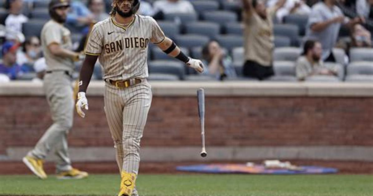 Fernando Tatis Jr. Wiki 2023