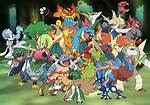 Finally. . All 3 Fully-Evolved Starter Pokemon?