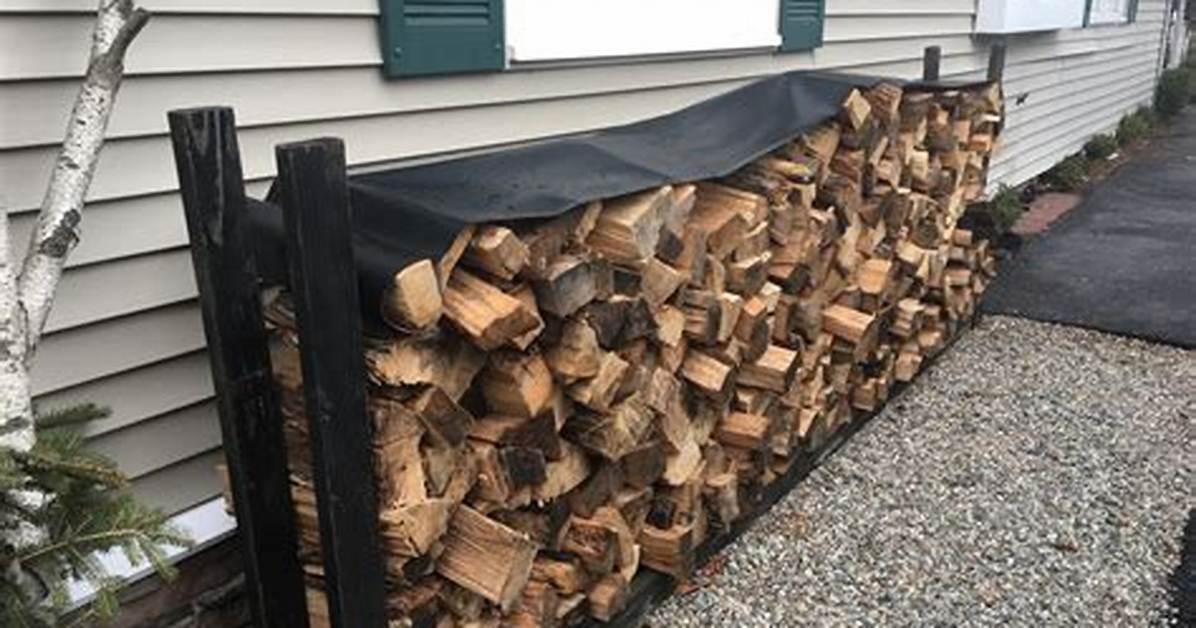 Firewood Cover Vs. Not Covered