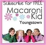 Fireworks at Eastwood Field | Macaroni Kid Youngstown