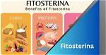 Fitosterina: a Natural Compound for Your Health