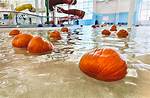 🎃 Floating Pumpkin Patch @ Blacksburg Aquatic Center
