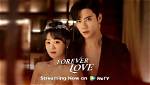 Forever Love 2023 Chinese Drama Cast & Story Details