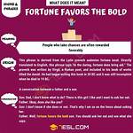 Fortune Favors the Bold - If the Bold Are Smart