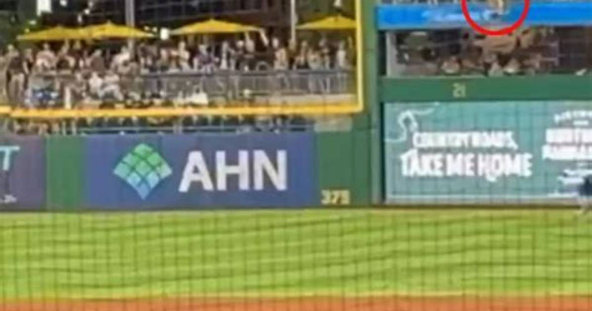 Freak “Gun” Incident at Baseball Game Plunges Houston into Chaos