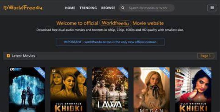 Free Movie & MP4 Downloads: Stream & Watch Anywhere!